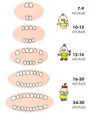 Что делать, если у малыша режутся зубы