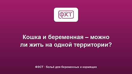 Кошка и беременная – можно ли жить на одной территории?